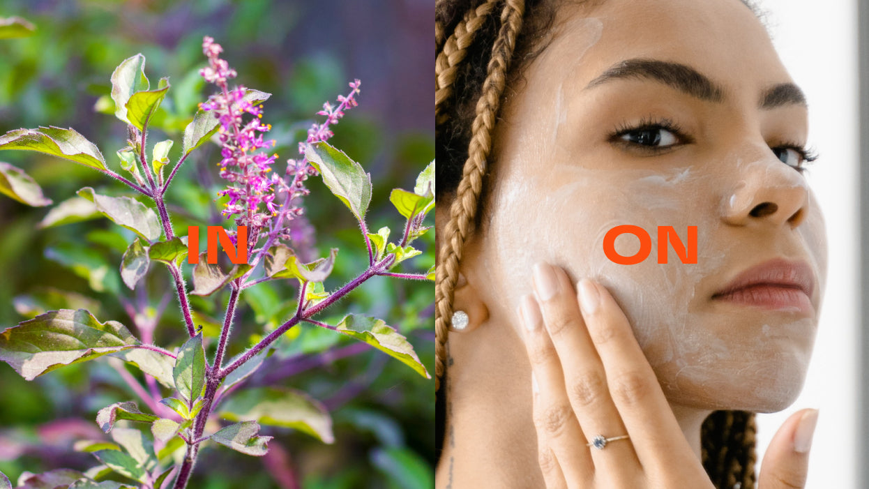 Holy Basil In Skincare and Bodycare – Wild Elements.com
