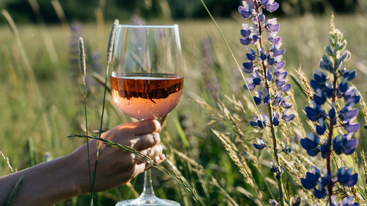 Plant Food: Is Wine Sustainable?